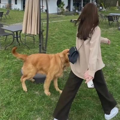 战栗目击者 海报